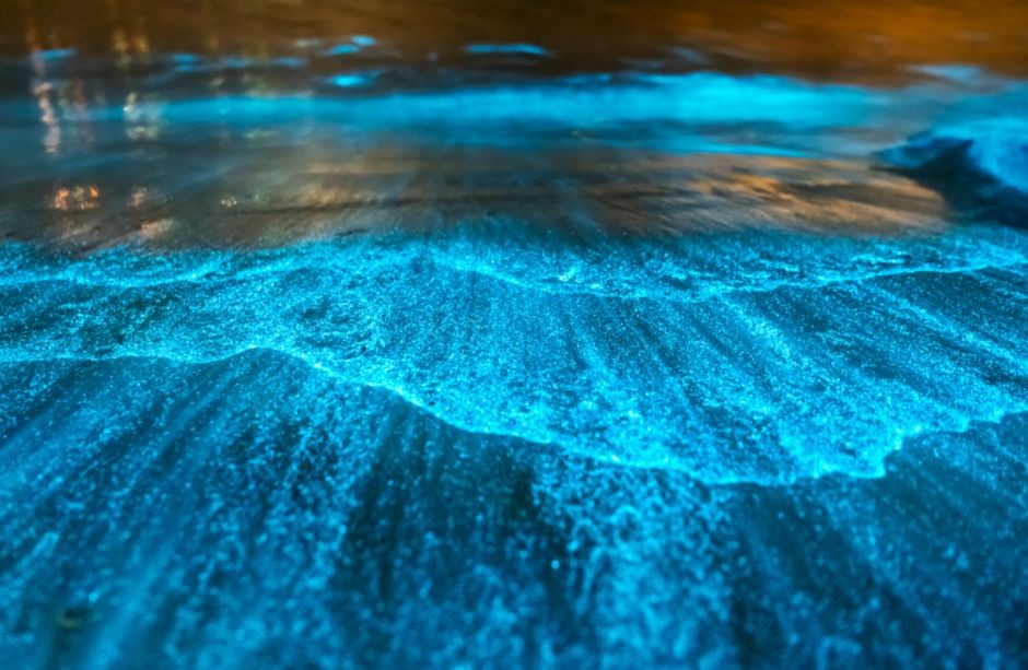 Mosquito Bay, baía bioluminescente oficialmente declarada a mais brilhante do mundo, um dos  lugares mais incríveis e que não parecem reais