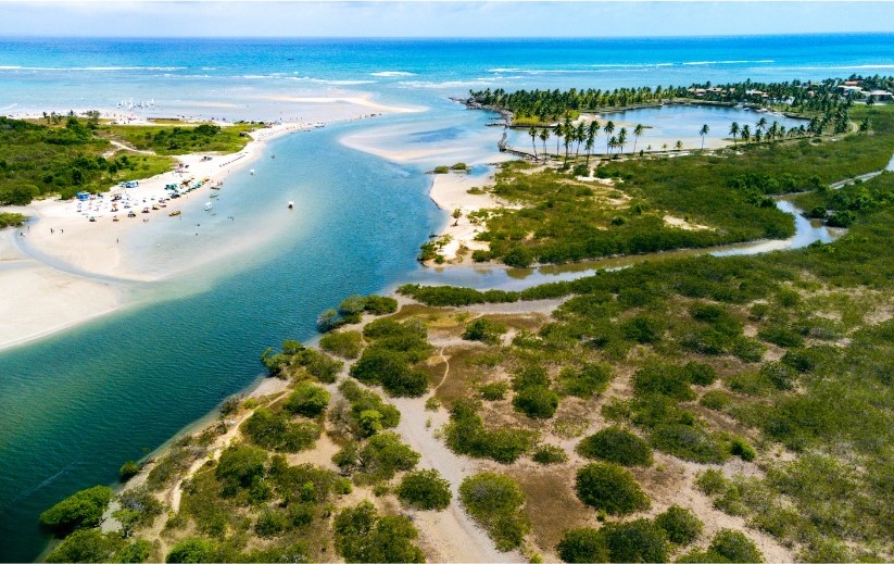 praia de maracaipe