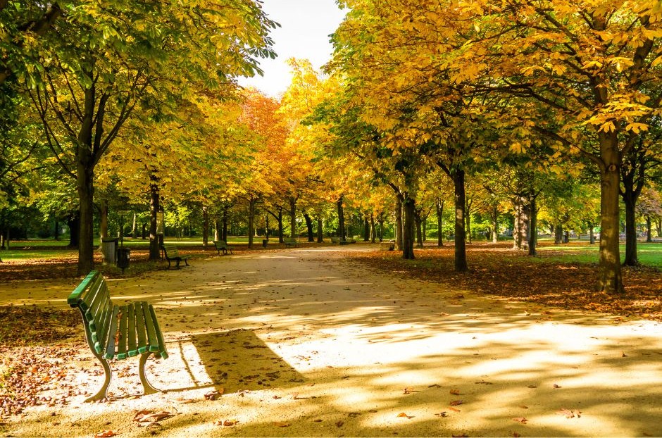 Tiergarten em berlim